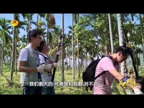 《爸爸去哪儿》第二季看点 Dad Where Are We Going S02 09/19 Recap: 林志颖曹格采“过季槟郎”滥竽充数-Pick Old Betel Palm【湖南卫视官方版】