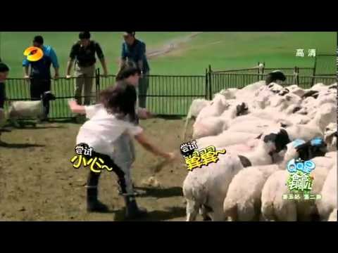 《爸爸去哪儿》第二季看点 Dad Where Are We Going S02 08/22 Recap: 小羊失控绊倒多多-Goat Trips Christine Huang【湖南卫视官方版】