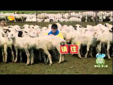 《爸爸去哪儿》第二季看点 Dad Where Are We Going S02 08/22 Recap: 杨阳洋独创锁喉神功- Special Lock Throat Skill【湖南卫视官方版】