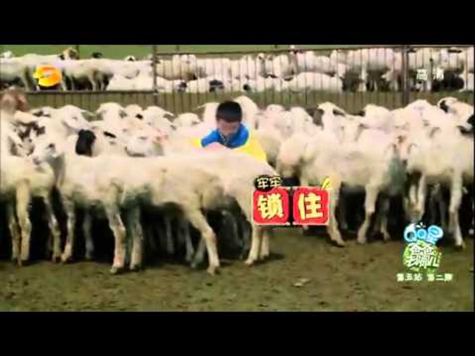 《爸爸去哪儿》第二季看点 Dad Where Are We Going S02 08/22 Recap: 杨阳洋独创锁喉神功- Special Lock Throat Skill【湖南卫视官方版】