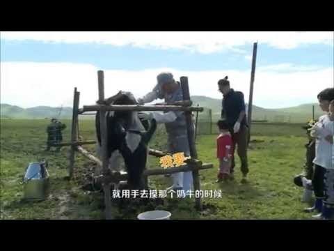 《爸爸去哪儿》第二季《村长日记》- 萌娃唱英文歌安抚暴躁奶牛 Dad Where Are We Going Village Head Dairy