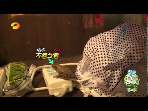 《爸爸去哪儿》第二季未播片段 蛤蟆乱入吓坏多多 - Dad Where Are We Going Unreleased Footage: Duo Duo Got Scared by Frog