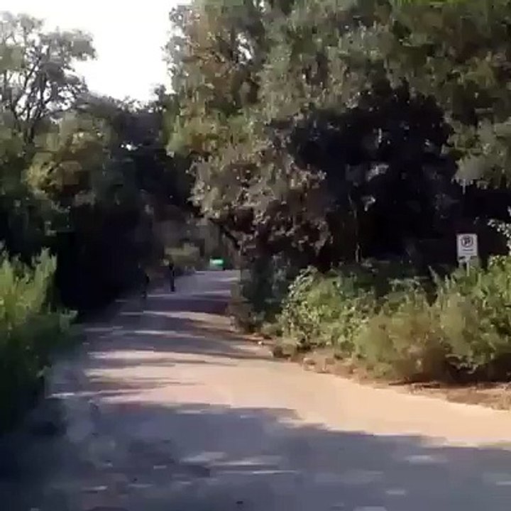 Girl Falls from Skate Board