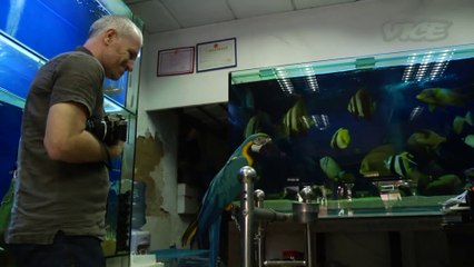 Asia's Illegal Animal Trade