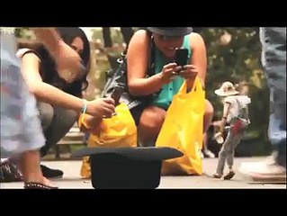 Awesome Performance in a road side puppet show