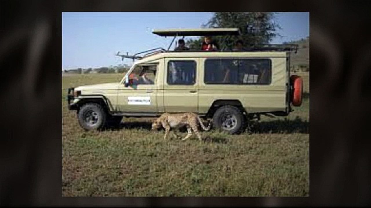 Tanzania Safari