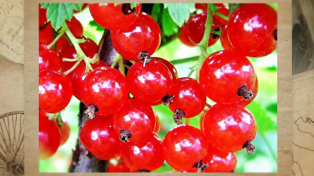 Красота и здоровье Необходимые витамины для красоты и здоровья Часть 7