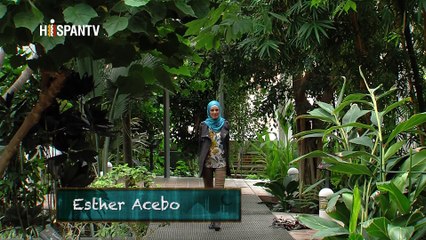 Al Natural - Aceites esenciales, plato de seitán, los higos y exfoliante de melocotón