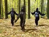 Go Nawaz Go In Monkey Style - Video Dailymotion