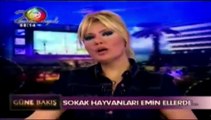 Ege Tv'de yayınlanan ''Çiğli'de sokak hayvanları emin ellerde '' haberi.
