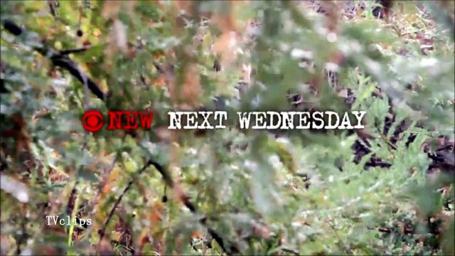 Criminal Minds Season 10 Episode 13 Promo Nelson's Sparrow Criminal Minds 10x13 Promo