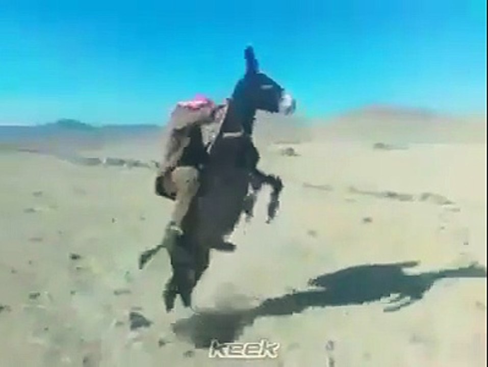Savunun MaLkoç oğlunu bulduk :) - Eşşek ne Şahlanıyor Sanki At :D