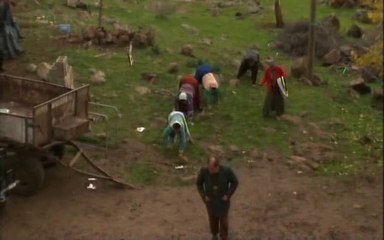 The Family That Walks on All Four