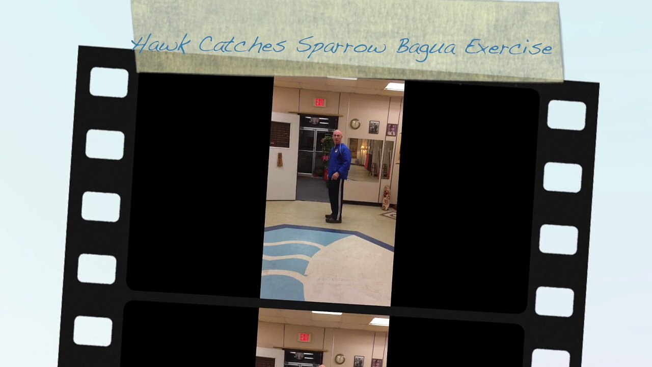 Hawk Catches Sparrow Bagua Exercise with Sifu TW Smith