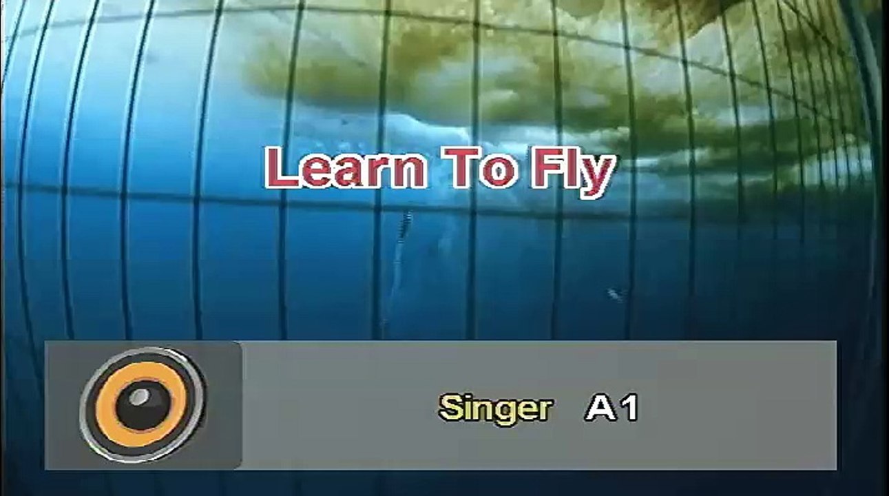 Learn To Fly - A1