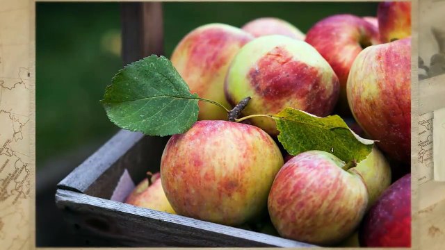 Красота и здоровье Необходимые витамины для красоты и здоровья. Часть 8