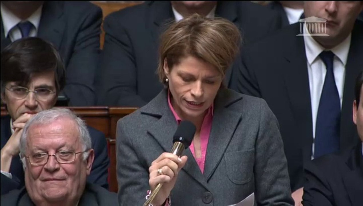 Isabelle Le Callennec - Emprunts dits toxiques