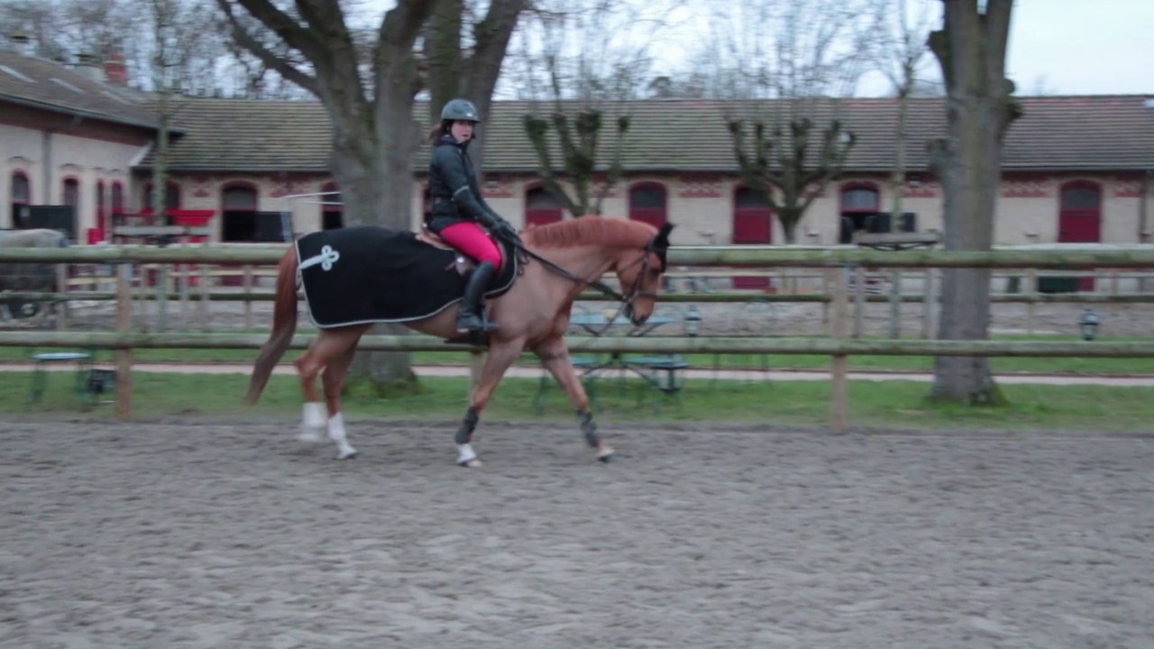 Essai horseCom Alexandra Derambure - Haras des Brumes (78)