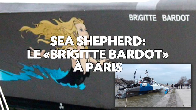 Sea Shepherd: Le «Brigitte Bardot» accoste à Paris