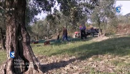 Bande annonce VAQUI à Nyons, pays de l'olive