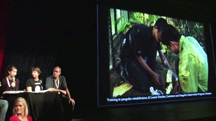 Pangolins AFPAN Montier en Der 2014