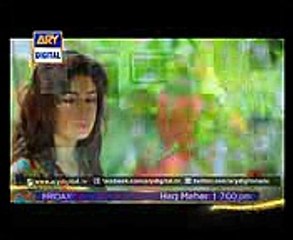 Hira and Shariq are having a Tough time in Haq Meher Episode 19 - ARY Digital