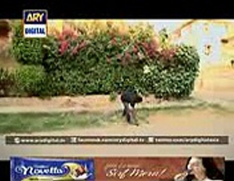 Tootay Huay Taaray Episode 199 - 15th January 2015 - ARY Digital
