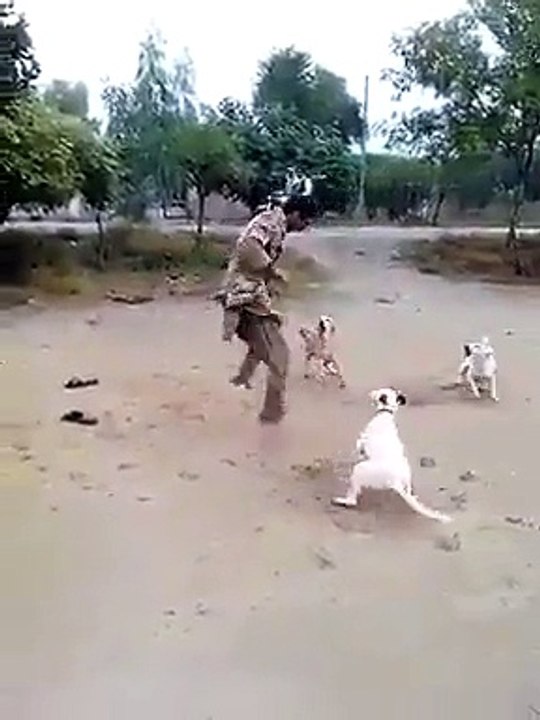 Must Watch Funny Dog With Man
