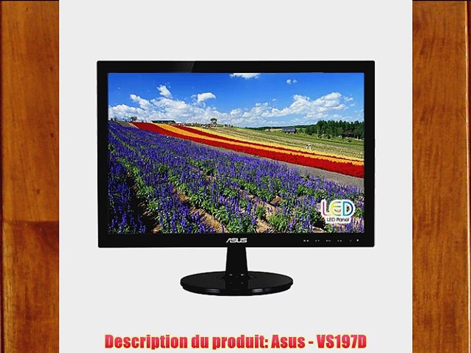 Asus VS197D Ecran PC LCD 185 (470 cm) LED D-Sub Noir