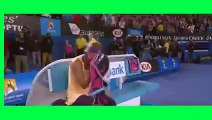 Watch Tomas Berdych vs Viktor Troicki - australian open tennis 2015 tv coverage - australian open tennis winners 2015