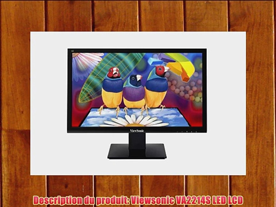 Viewsonic VA2214S Ecran PC LED 22 (5558 cm) 1920 x 1080 5 ms VGA/DVI Noir
