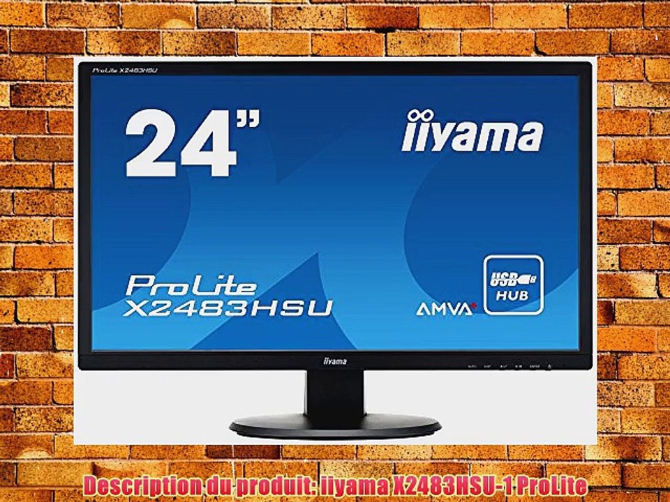 iiyama Prolite X2483HSU-B1 Ecran PC LED 24 (60 cm) 1920 x 1080 2 ms VGA/DVI/HDMI