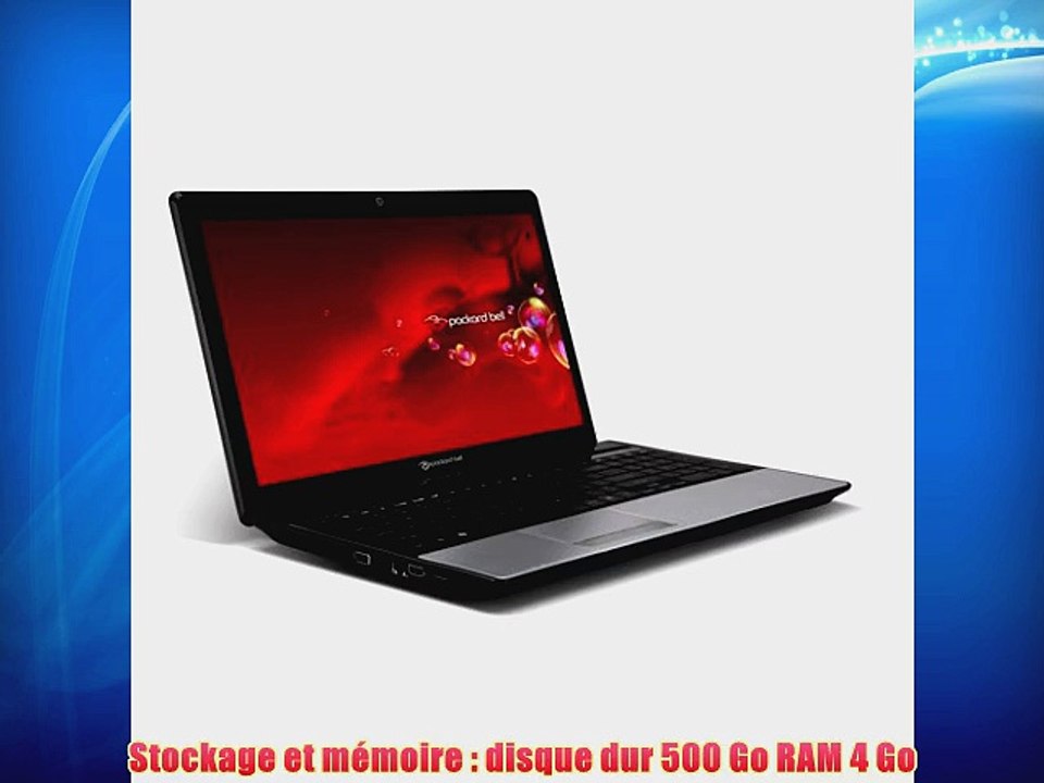 Packard Bell LE69KB-12504G50M Ordinateur portable 17 (4318 cm) AMD E1-2500 14 GHz 500 Go 4