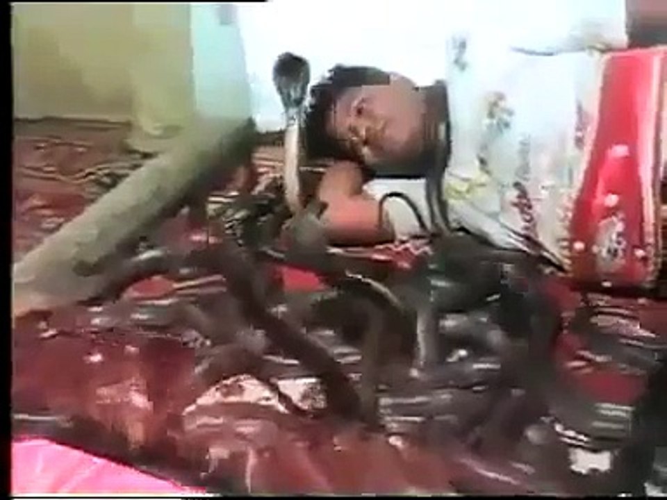 A Man Sleeping with Cobra Snakes