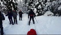 Ski Pulka à Corrençon-en-Vercors