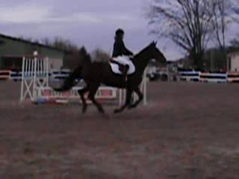 Concours CSO Brazey En Plaine E1