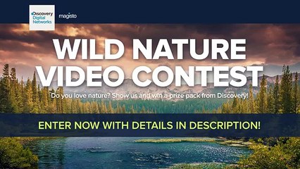 In Visible Universe - 14 Most Beautiful Galaxies Existing