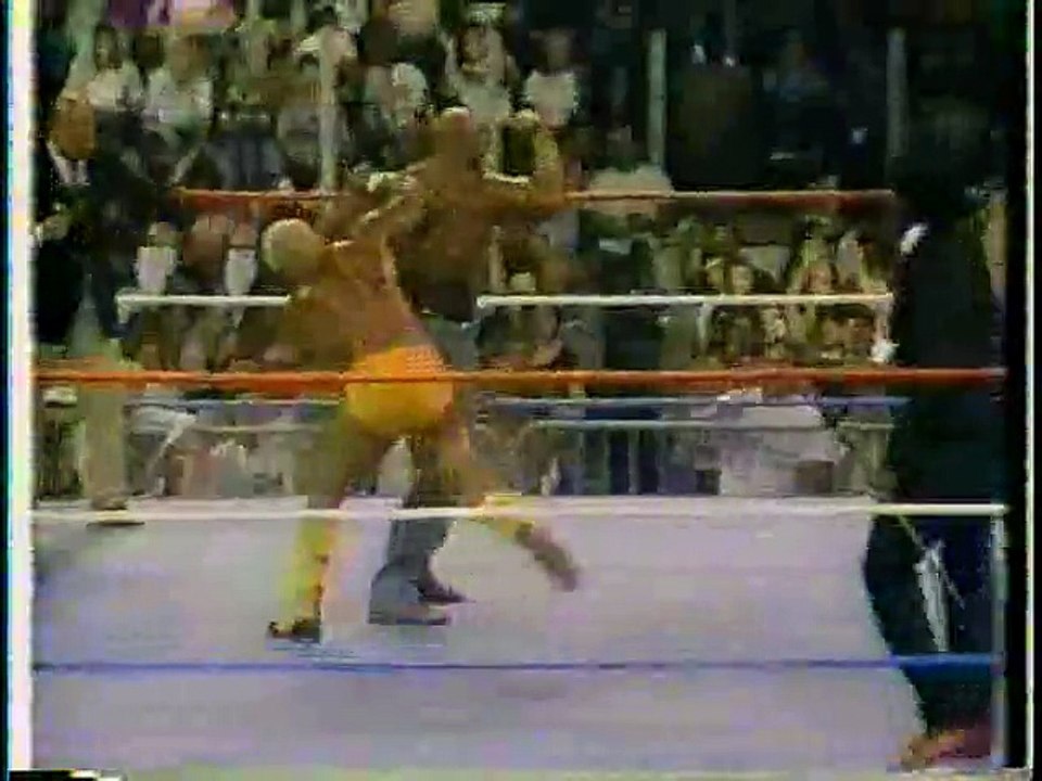 WWF Superstars 1987-08-08