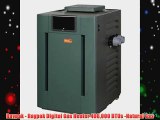Raypak - Raypak Digital Gas Heater 406000 BTUs -Natural Gas