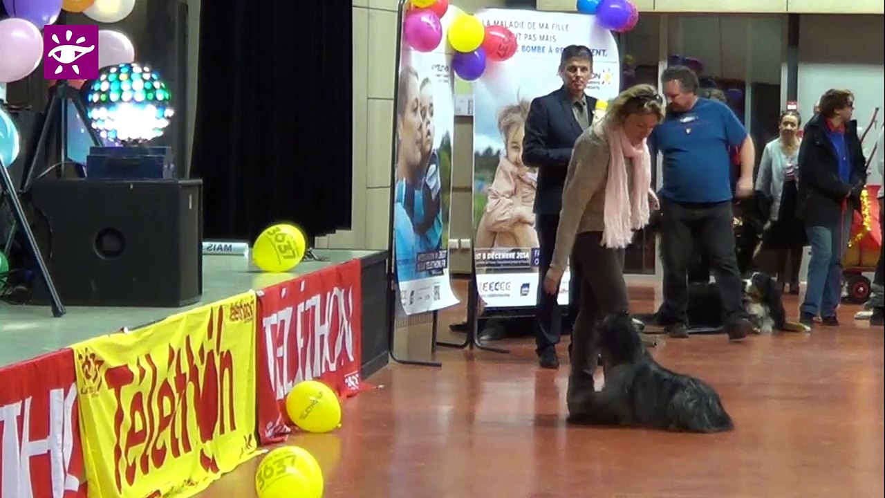 Téléthon 2014 : soirée de gala au Taillan-Médoc (33)
