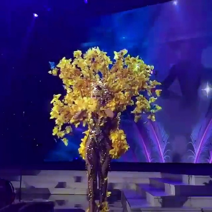 Así luce Migbelis Castellanos en traje su traje tipico