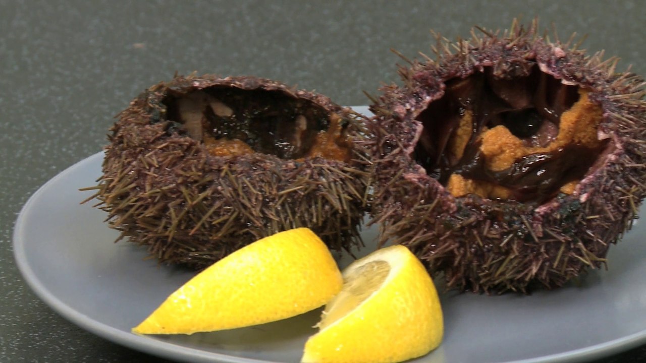 Comment ouvrir des oursins ? - Gourmand