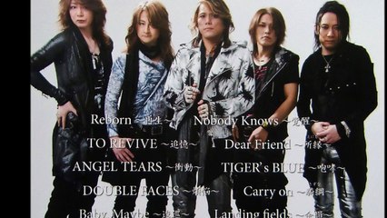 DAIDA LAIDA ''Landing Fields''