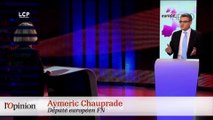 Aymeric Chauprade, 