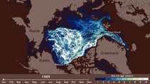 Il mar glaciale artico si scioglie a vista d'occhio dal 1987