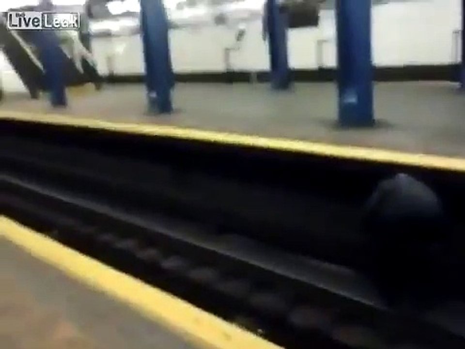 Man Saves Cat From Subway Train