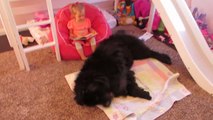 Giant dog protests toddler's bedtime story