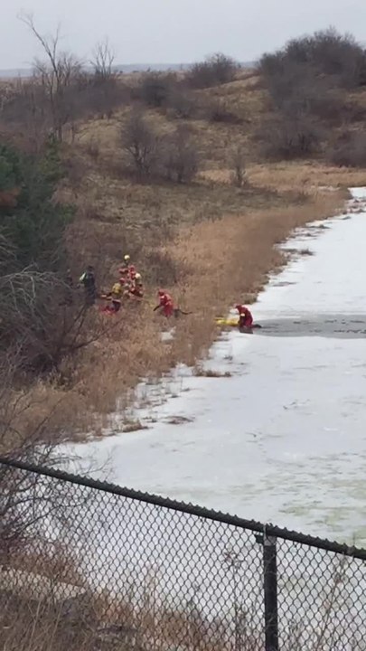 Dog rescued after falling through ice