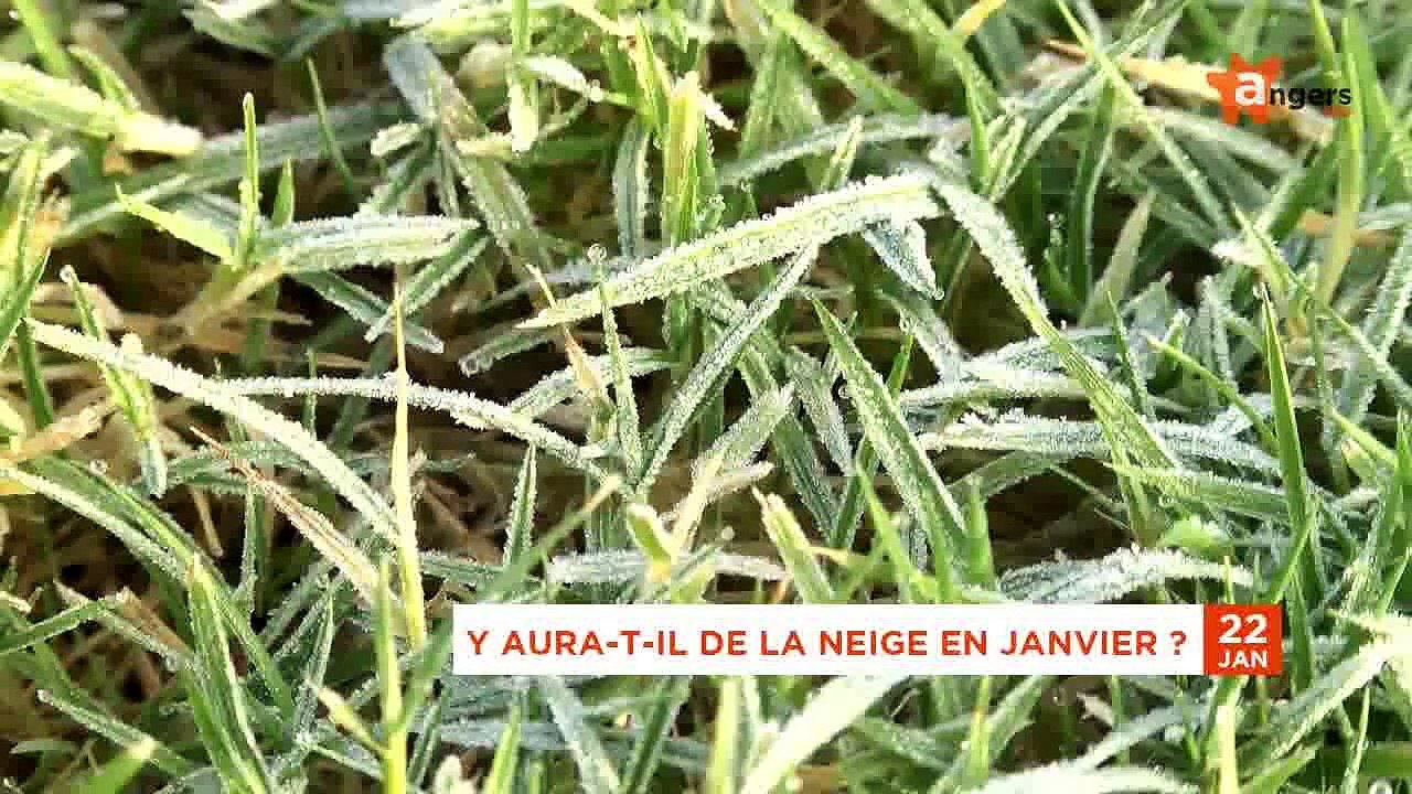 JT JANVIER 2015 [S.1] [E.22] - Le Journal du jeudi 22 janvier