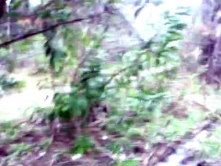 Επίσκεψη στο Τατόι(πρώην Βασιλικό κτήμα) Α μέρος